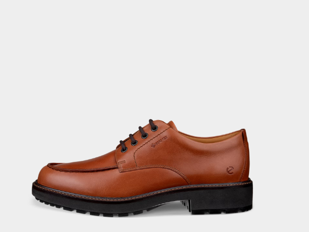 کفش مردانه اکو دانمارک ECCO مدل Metropole Oslo GTX - ضد آب با فناوری GORE-TEX رنگ قهوه ای